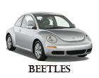 beetle chocados
